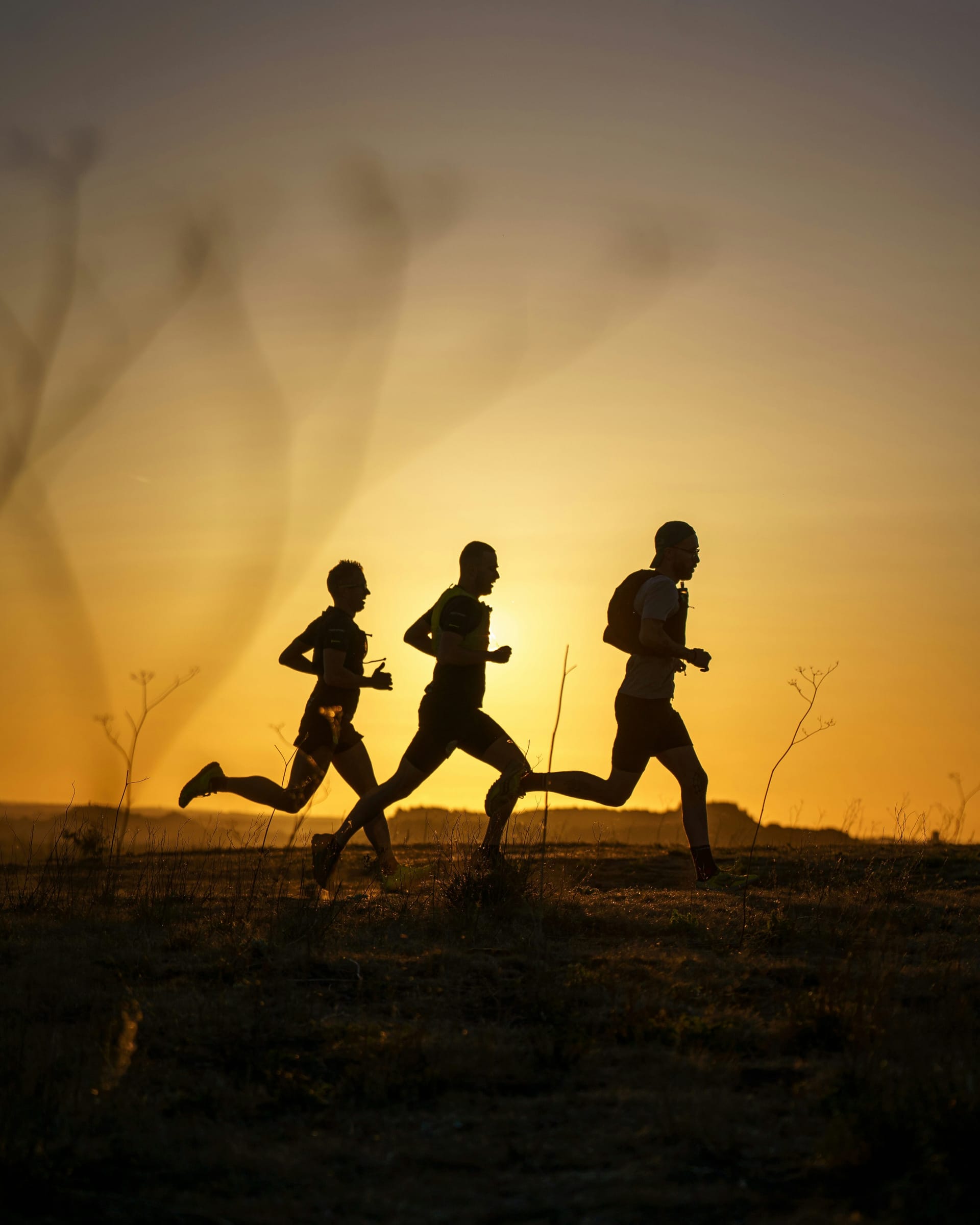 Image from nhp-co-UM6oufXjMa8-unsplash.jpg