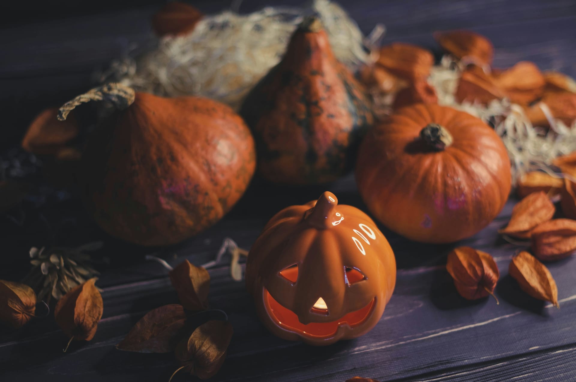 Image from nika-benedictova-v7pmxjZXCk4-unsplash_2025-10-21-120028_wiej.jpg