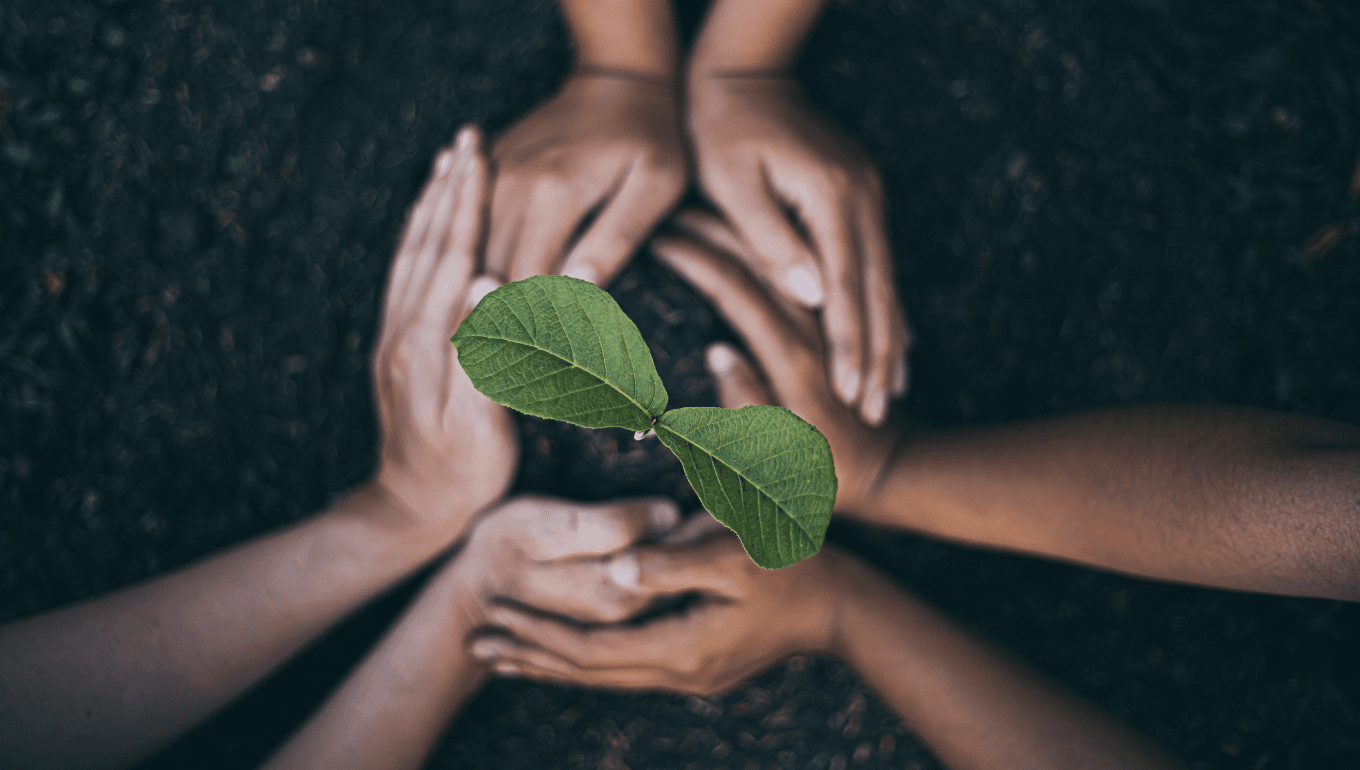 Image from Magazin-Bild-73.png