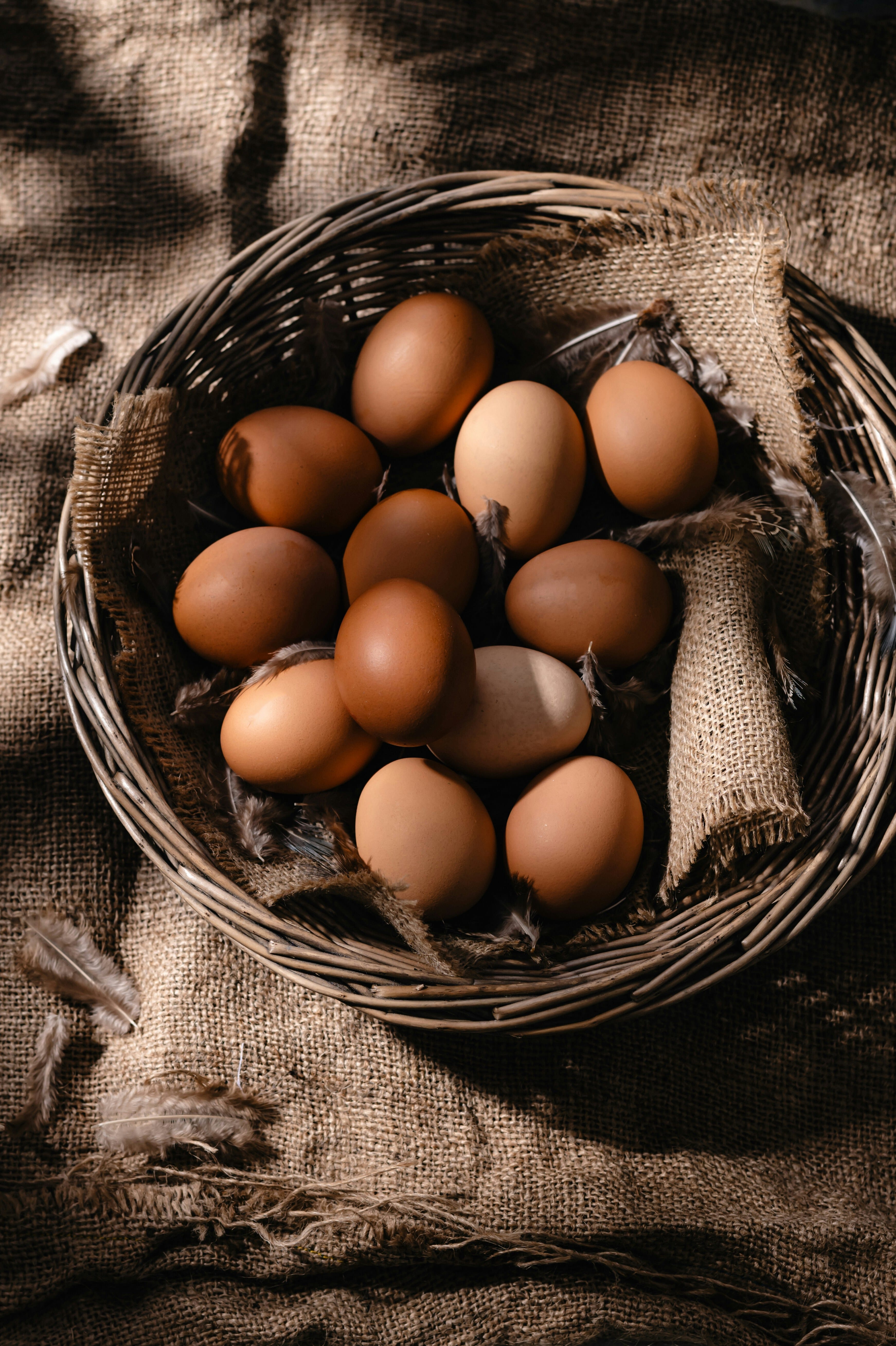 Image from monika-grabkowska-YUK1ekmWonk-unsplash.jpg