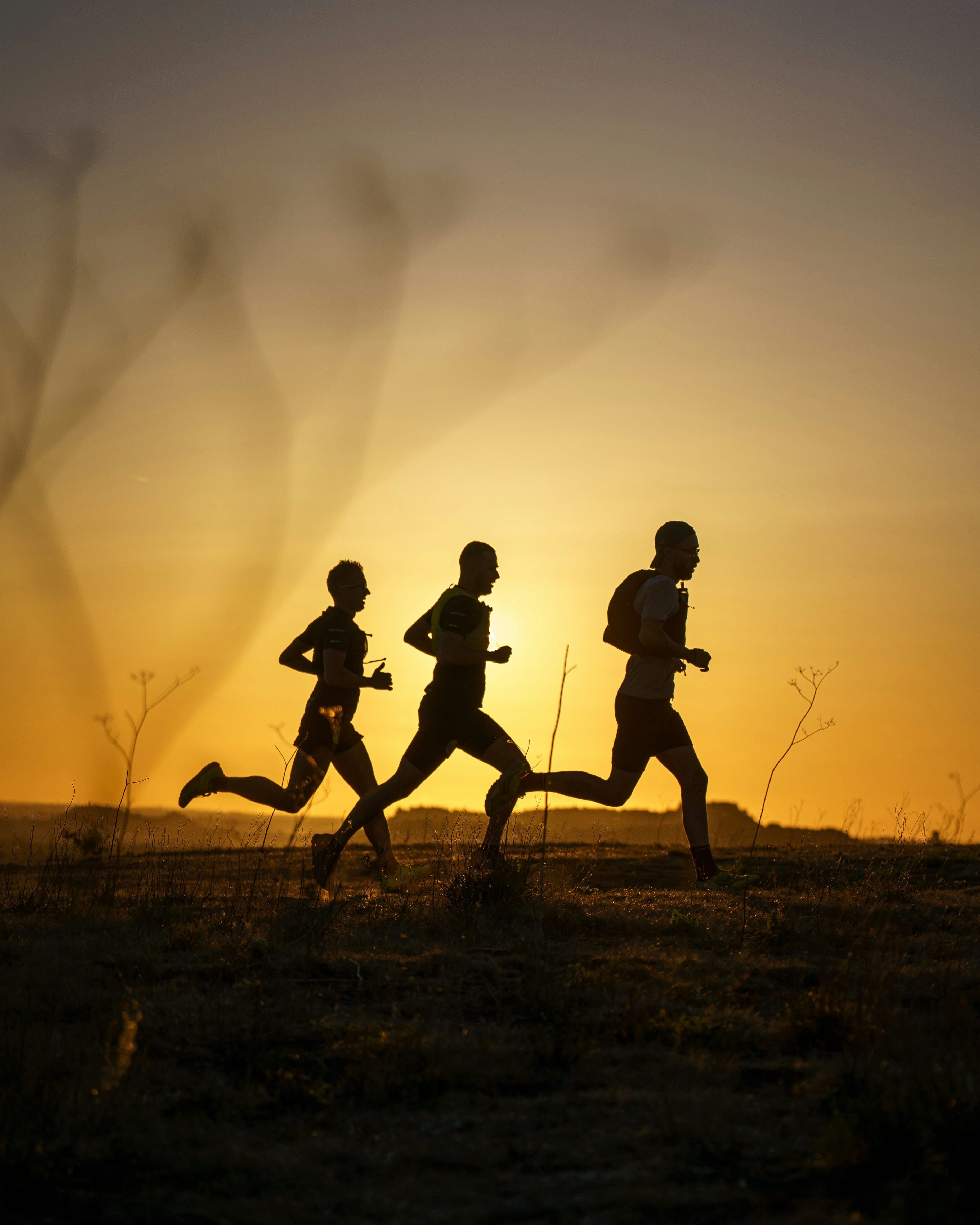 Image from nhp-co-UM6oufXjMa8-unsplash.jpg