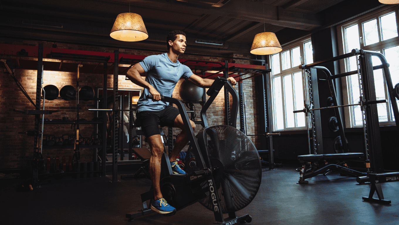 Image from Magazin-Bild-8.png