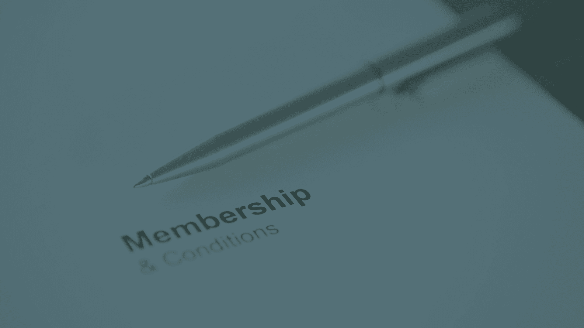 Image from Webheader-41.png